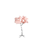 Load image into Gallery viewer, OSTRICH Tree, silver frame
