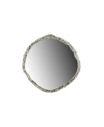 Load image into Gallery viewer, Organic Wall Mirror: Silver
