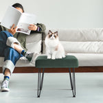 Load image into Gallery viewer, Velvet Green Vanity Stool
