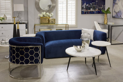Accent Chair-Blue Stylish Design